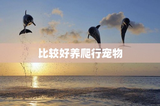 比較好養爬行寵物