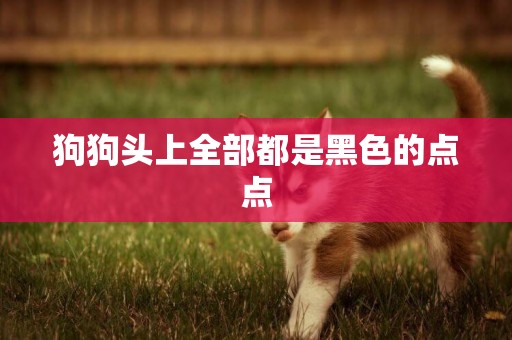 狗狗頭上全部都是黑色的點點
