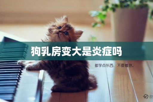 狗乳房變大是炎癥嗎