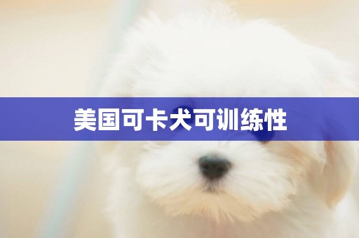 美國可卡犬可訓練性