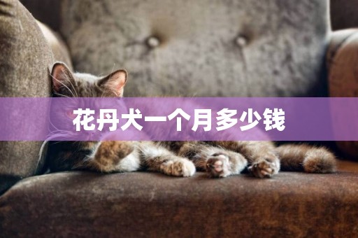 花丹犬一個月多少錢