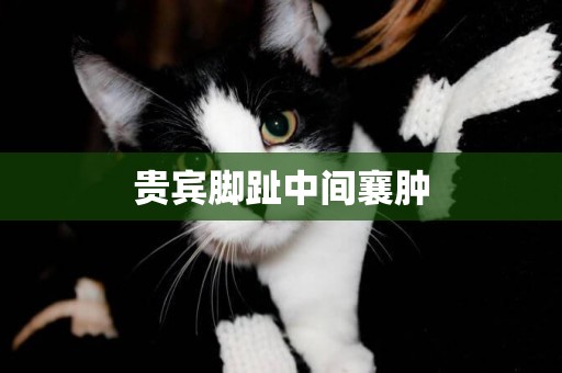 貴賓腳趾中間襄腫