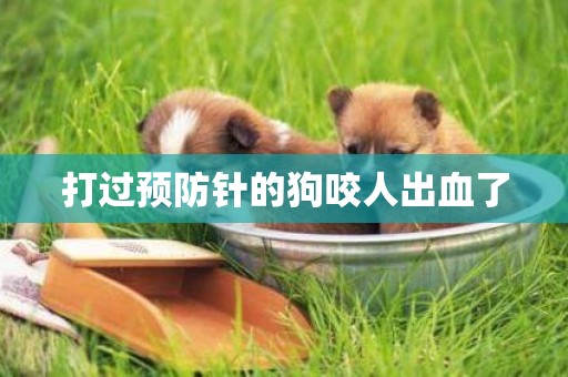 打過預防針的狗咬人出血了