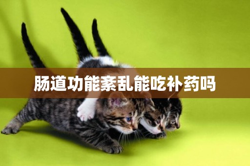 腸道功能紊亂能吃補藥嗎