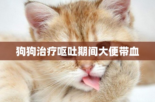 狗狗治療嘔吐期間大便帶血