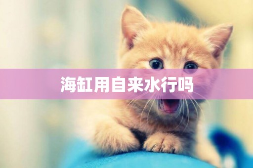 海缸用自來水行嗎