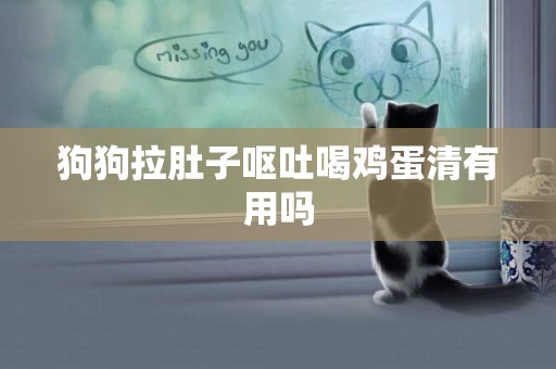 狗狗拉肚子嘔吐喝雞蛋清有用嗎