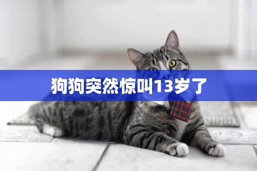 狗狗突然驚叫13歲了