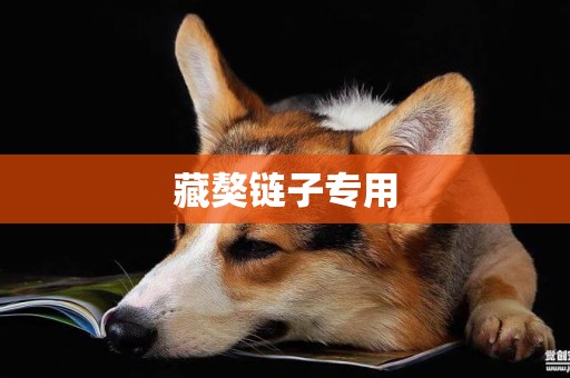 藏獒鏈子專用