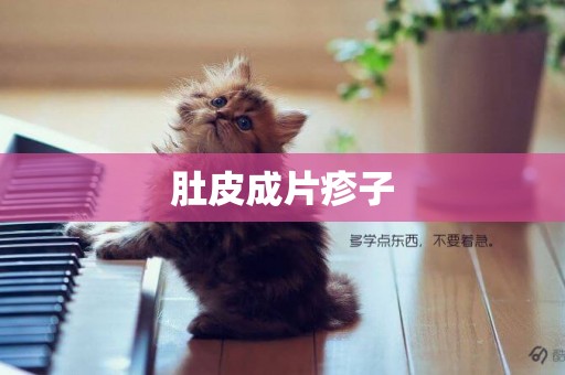 肚皮成片疹子