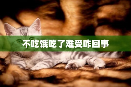 不吃餓吃了難受咋回事
