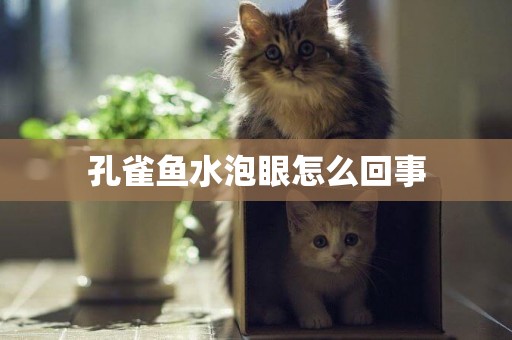 孔雀魚水泡眼怎么回事