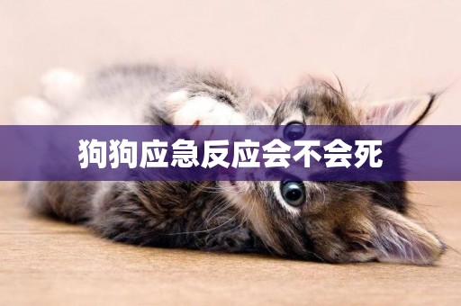 狗狗應急反應會不會死