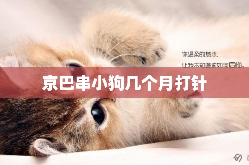 京巴串小狗幾個月打針