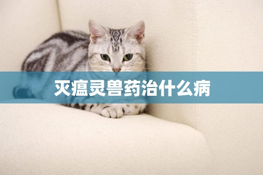 滅瘟靈獸藥治什么病