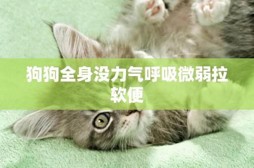 狗狗全身沒力氣呼吸微弱拉軟便