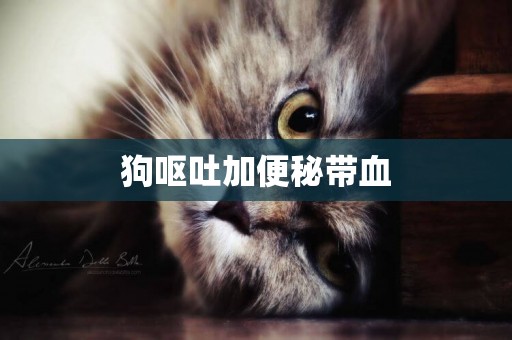 狗嘔吐加便秘帶血