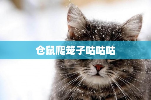 倉鼠爬籠子咕咕咕