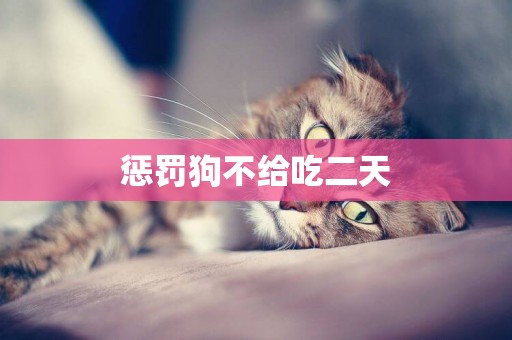 懲罰狗不給吃二天
