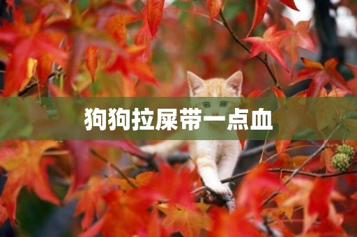 狗狗拉屎帶一點血