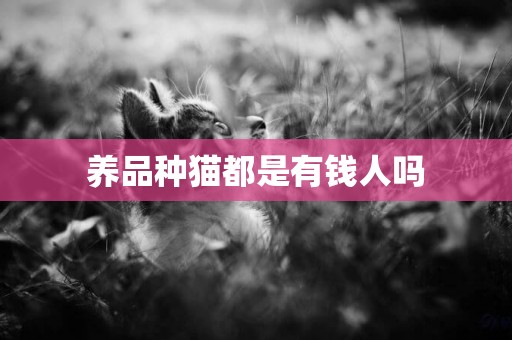 養品種貓都是有錢人嗎