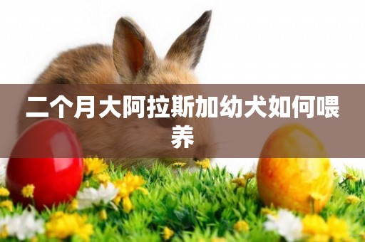 二個月大阿拉斯加幼犬如何喂養