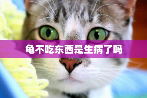 龜不吃東西是生病了嗎