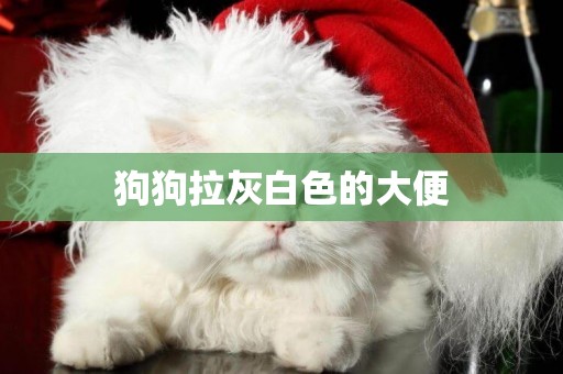 狗狗拉灰白色的大便