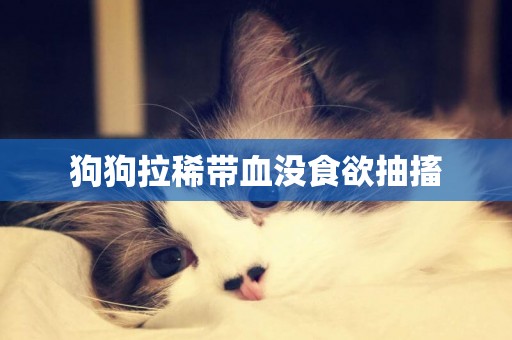 狗狗拉稀帶血沒食欲抽搐