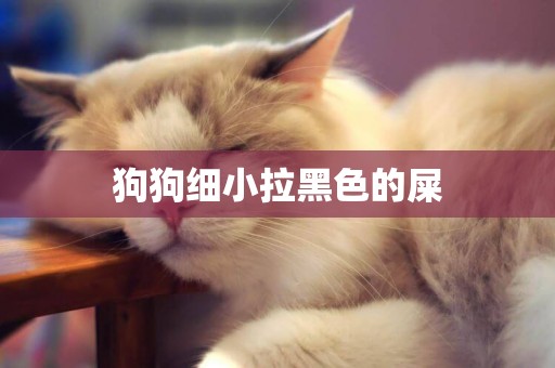 狗狗細小拉黑色的屎