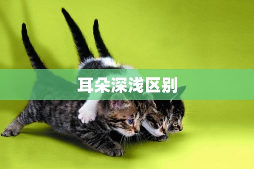 耳朵深淺區別