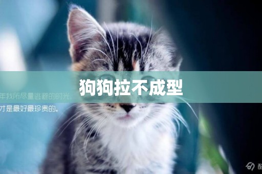 狗狗拉不成型