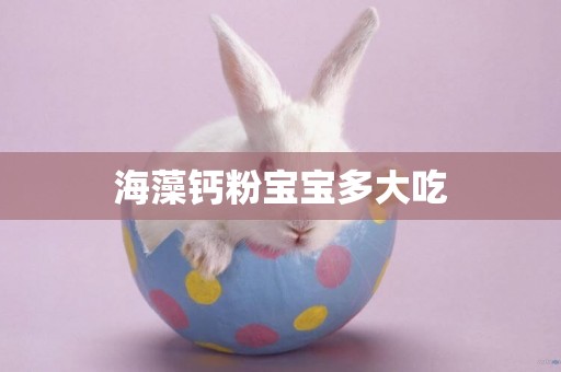 海藻鈣粉寶寶多大吃
