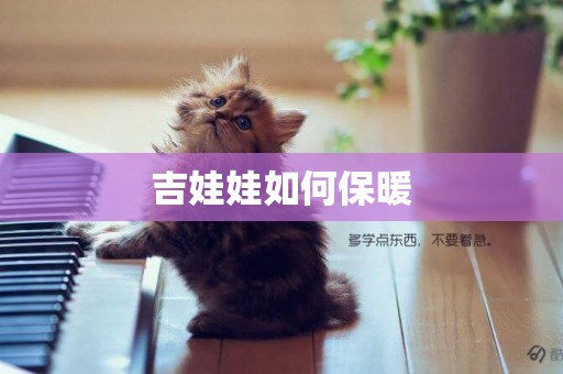 吉娃娃如何保暖