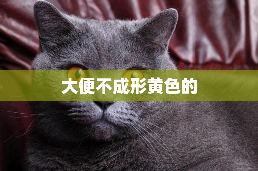 大便不成形黃色的