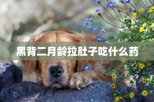 黑背二月齡拉肚子吃什么藥