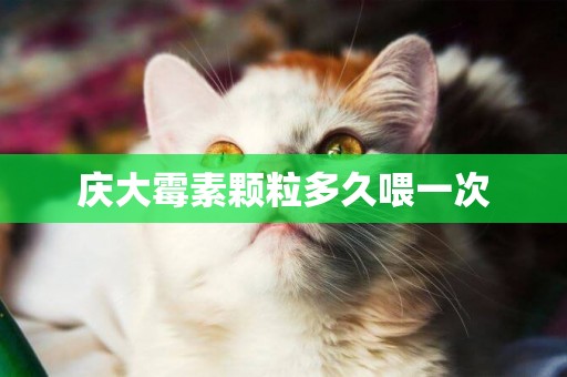 慶大霉素顆粒多久喂一次