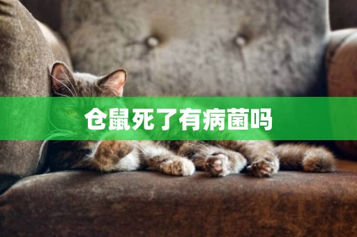 倉鼠死了有病菌嗎