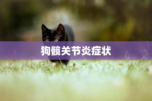 狗髖關節炎癥狀