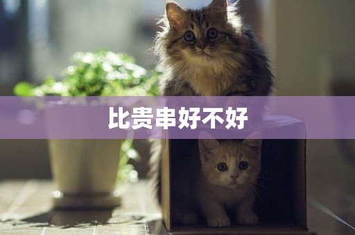 比貴串好不好