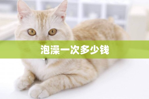泡澡一次多少錢