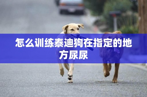 怎么訓練泰迪狗在指定的地方尿尿