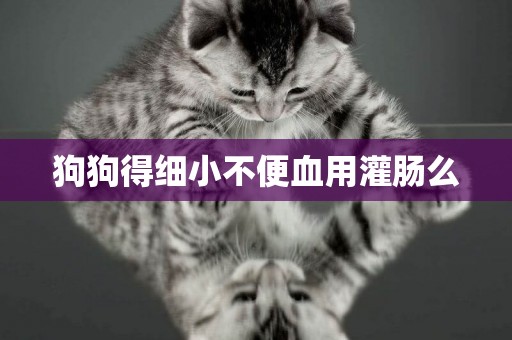 狗狗得細小不便血用灌腸么