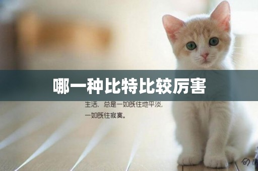 哪一種比特比較厲害