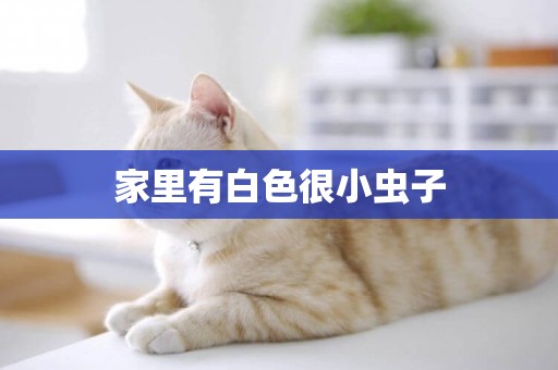 家里有白色很小蟲子