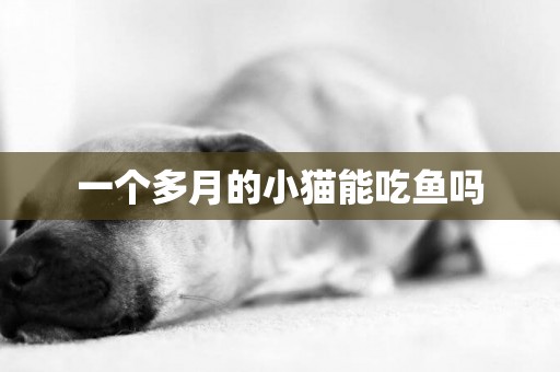 一個多月的小貓能吃魚嗎