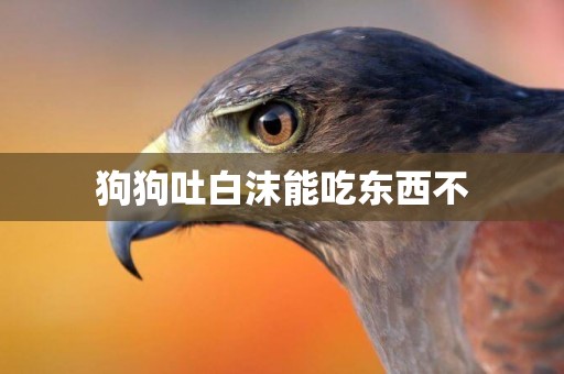 狗狗吐白沫能吃東西不