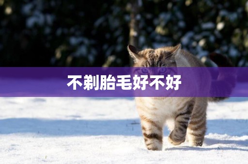 不剃胎毛好不好