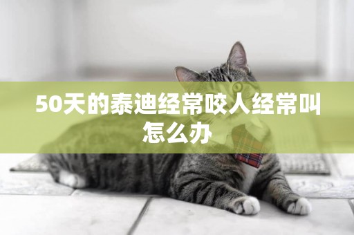 50天的泰迪經常咬人經常叫怎么辦