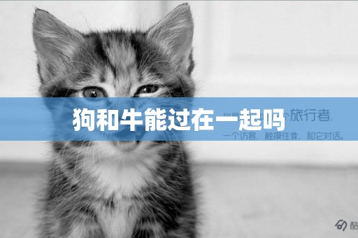 狗和牛能過在一起嗎